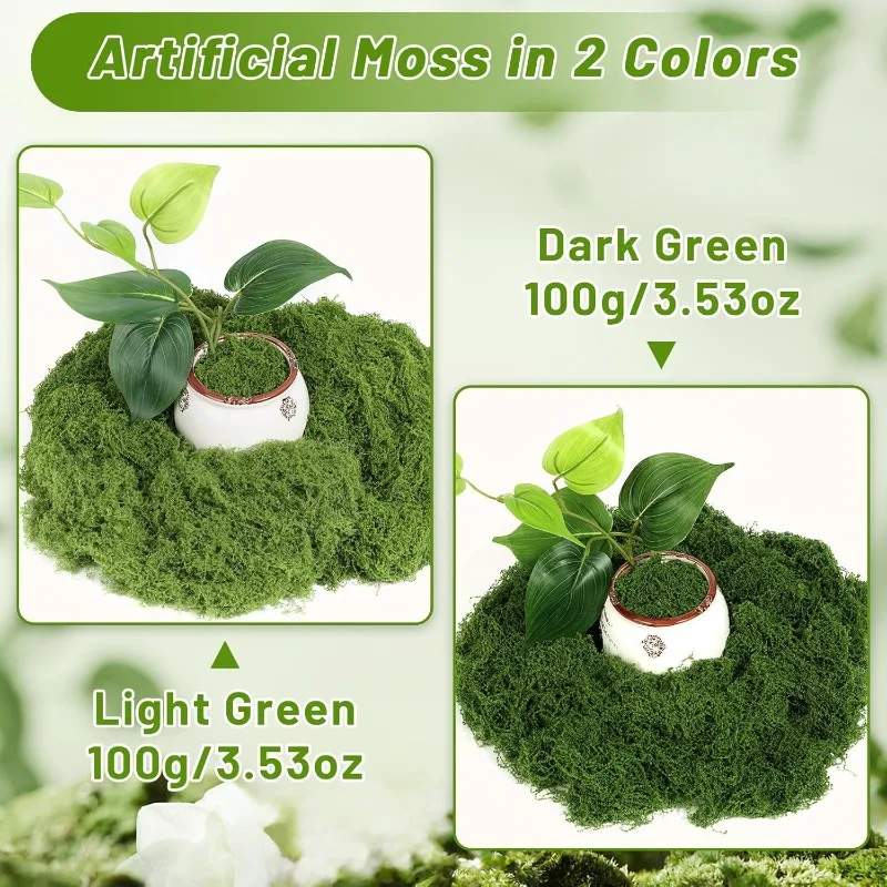 永遠の命を宿すモス、人工芝、ミニチュア風景、造花、DIYクラ - Sphagnum Moss Dry のレビューと価格