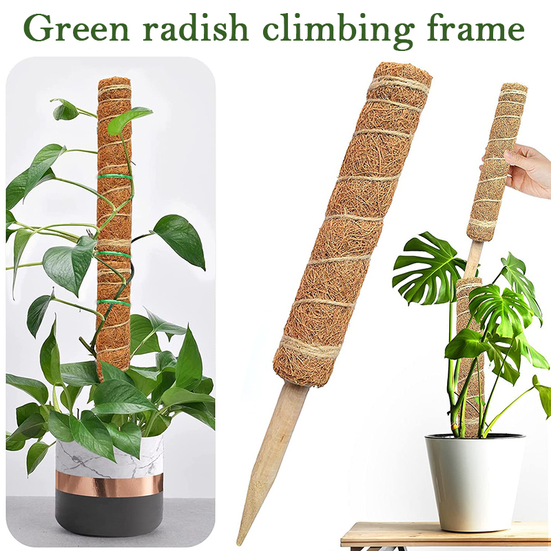 30/40/50 センチメートル植物クライミングココヤシトー - Sphagnum Moss Dry のレビューと価格