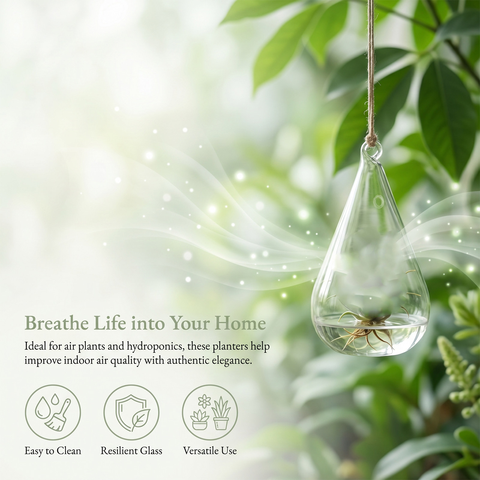 ガラス製ハンギングプランター4個組。水耕栽培用、壁掛け花瓶、 - Propagation Station Vase のレビューと価格